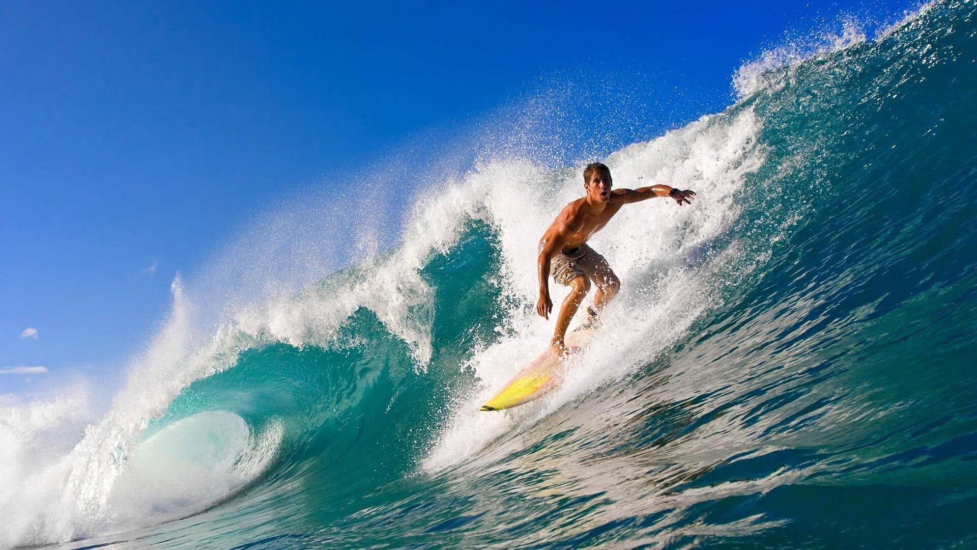 欧冠淘汰赛焦点战,快船提前终结悬念篮网