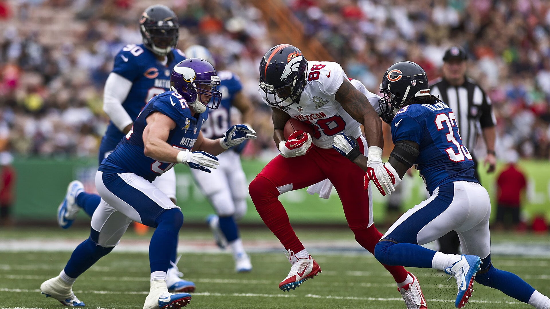 当红龙咆哮遇见嗜血鲨鱼,体育史上唯一交错的统治时刻